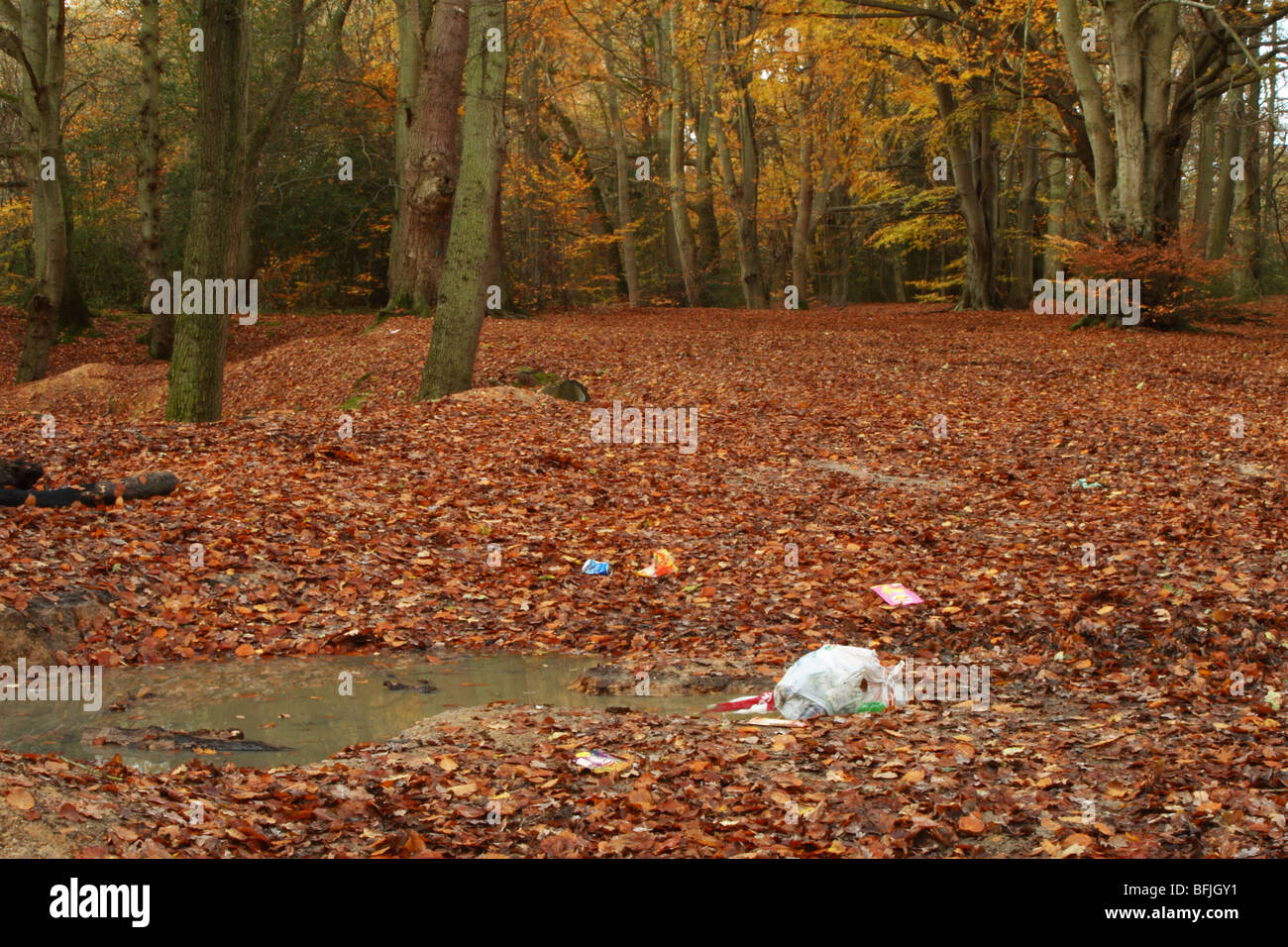 L'abandon de détritus dans les bois près de Downley Le de Spencers Arms, High Wycombe, Buckinghamshire, Royaume-Uni Banque D'Images