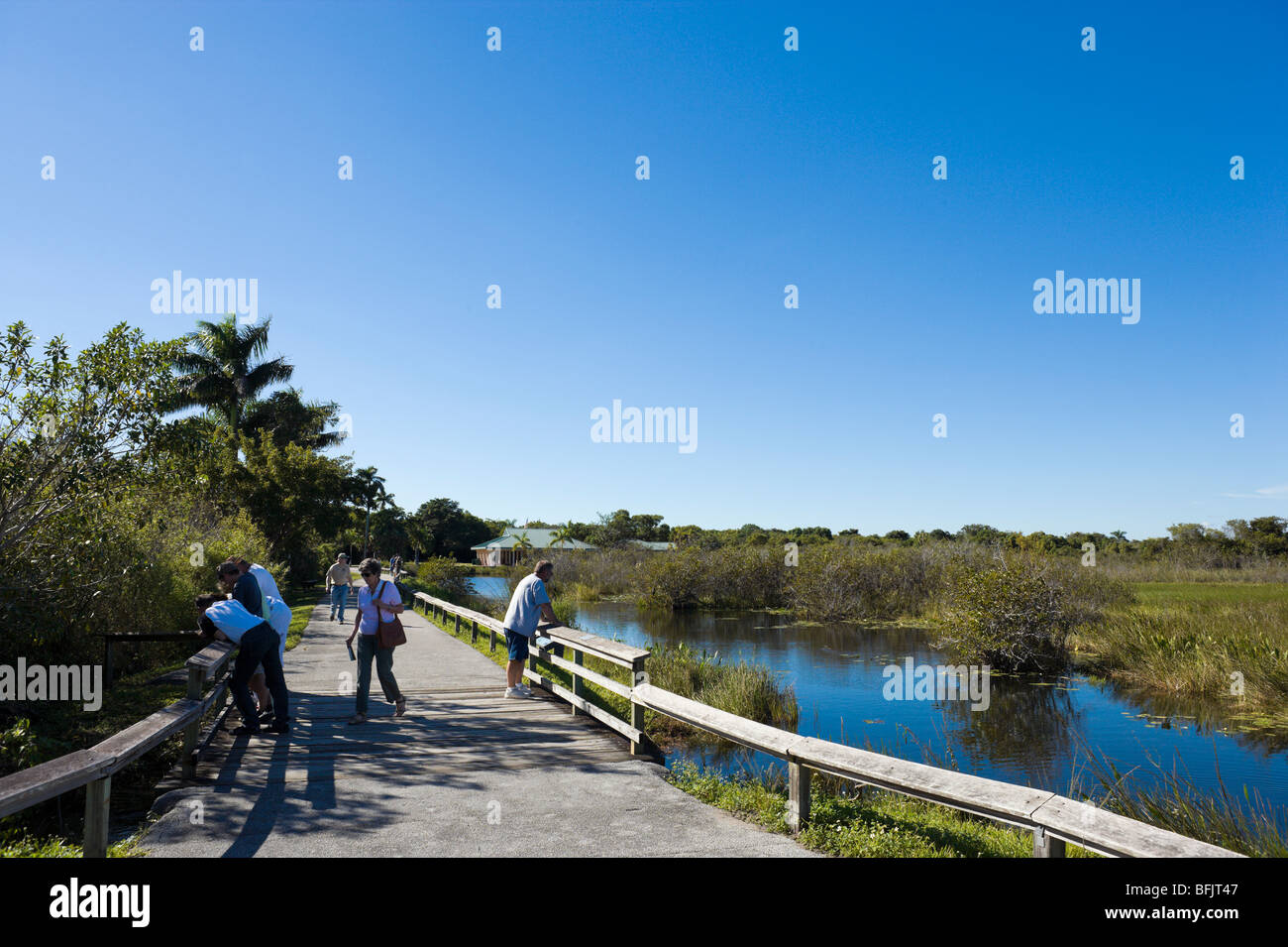 L'anhinga Trail, Royal Palm, le Parc National des Everglades, Florida, USA Banque D'Images