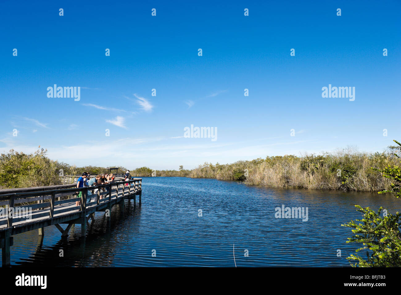 Visiteurs sur le Boardwalk alont l'anhinga Trail, Royal Palm, le Parc National des Everglades, Florida, USA Banque D'Images