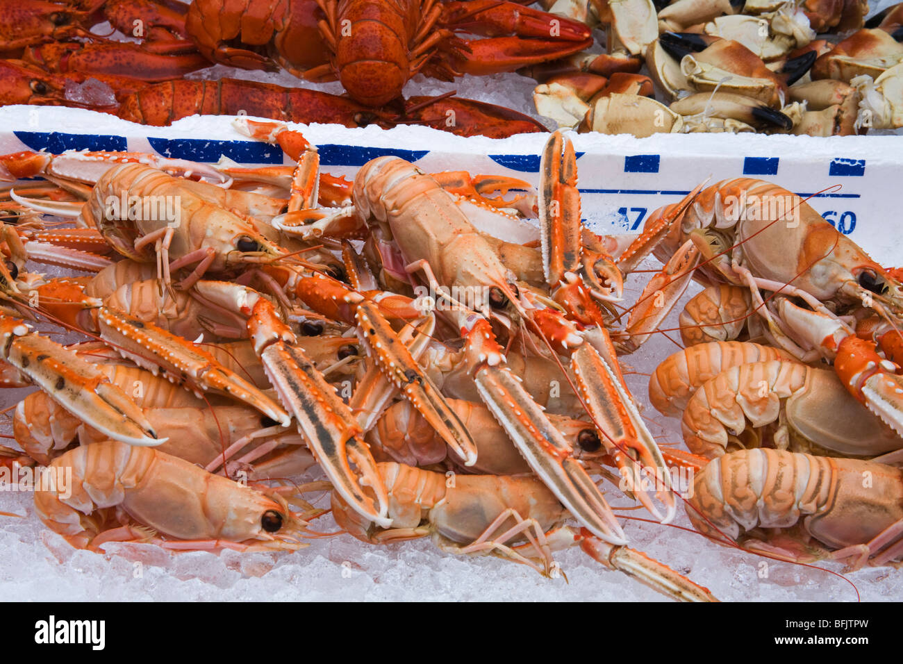 Marché aux poissons, langoustes Torget Bergen, ville, district, la Norvège Hordaland Banque D'Images