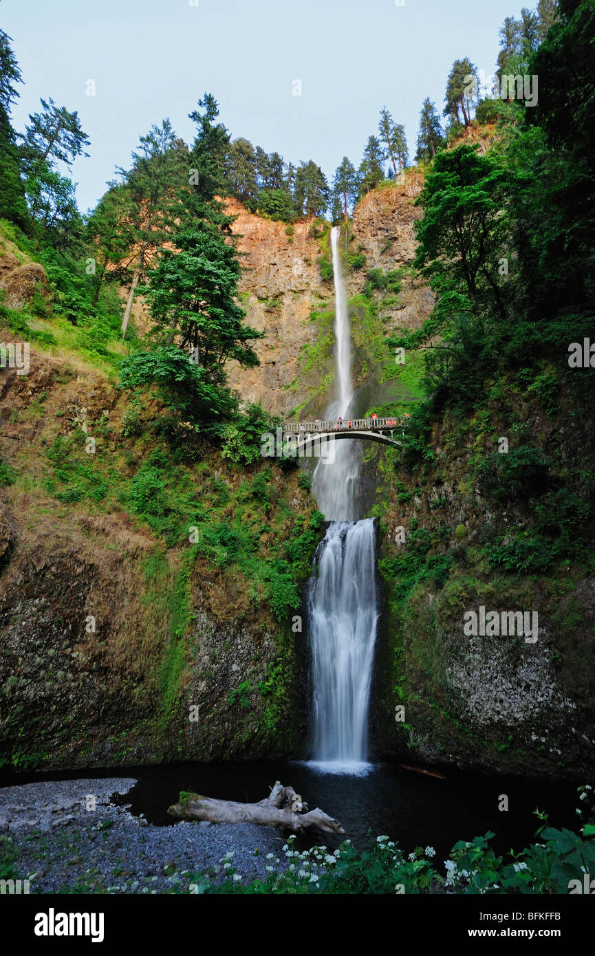 Multnomah falls dans la Columbia River Gorge, Oregon, USA Banque D'Images