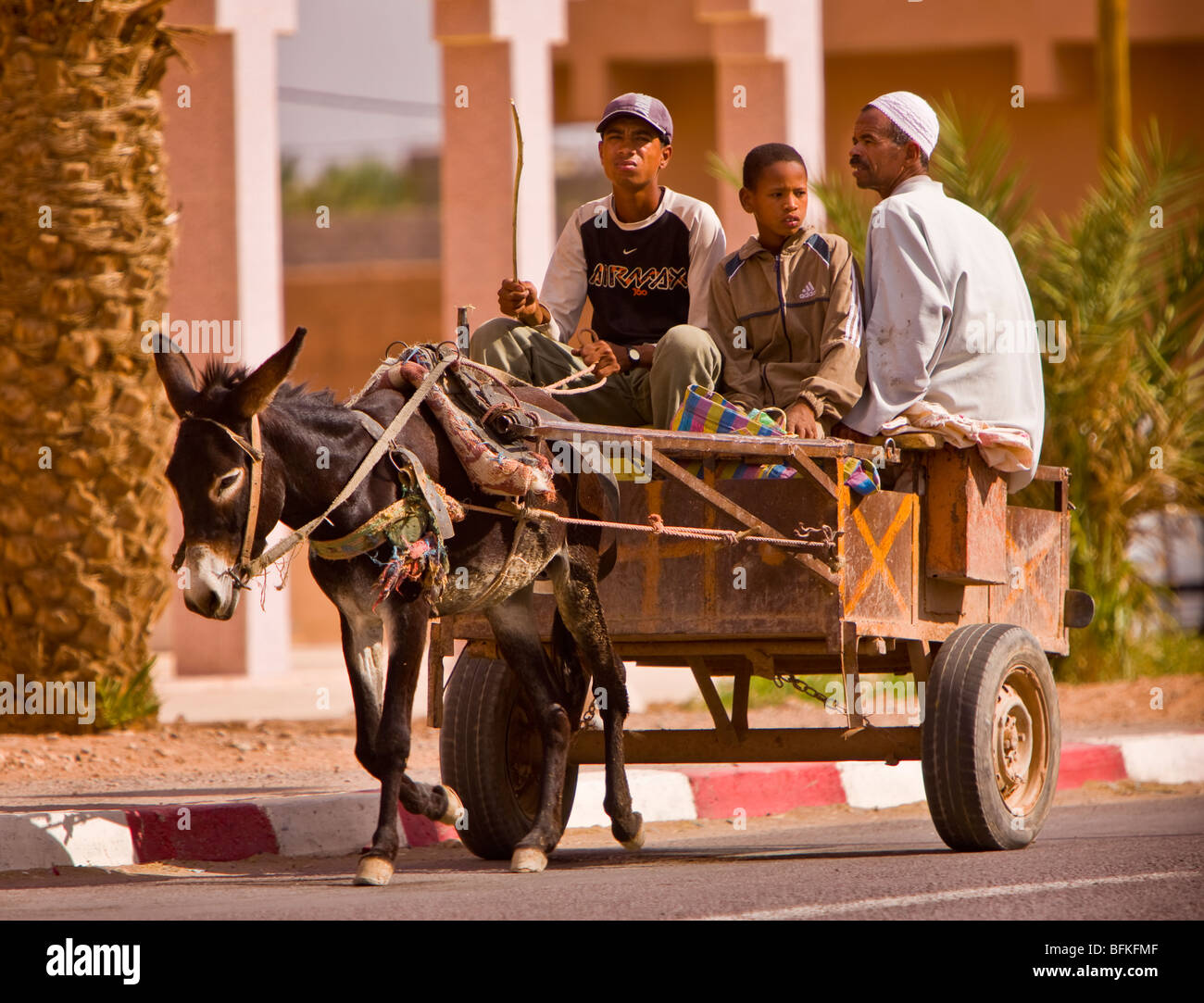 ZAGORA, MAROC - Hommes installés en charrette à âne. Banque D'Images