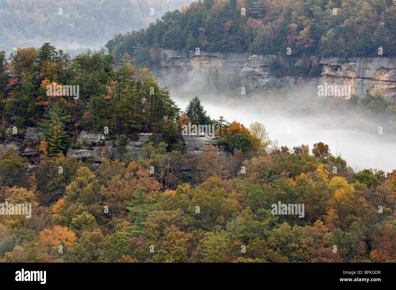 Vue sur la couleur en automne au Devil's Canyon Overlook à Red River Gorge, Kentucky Banque D'Images