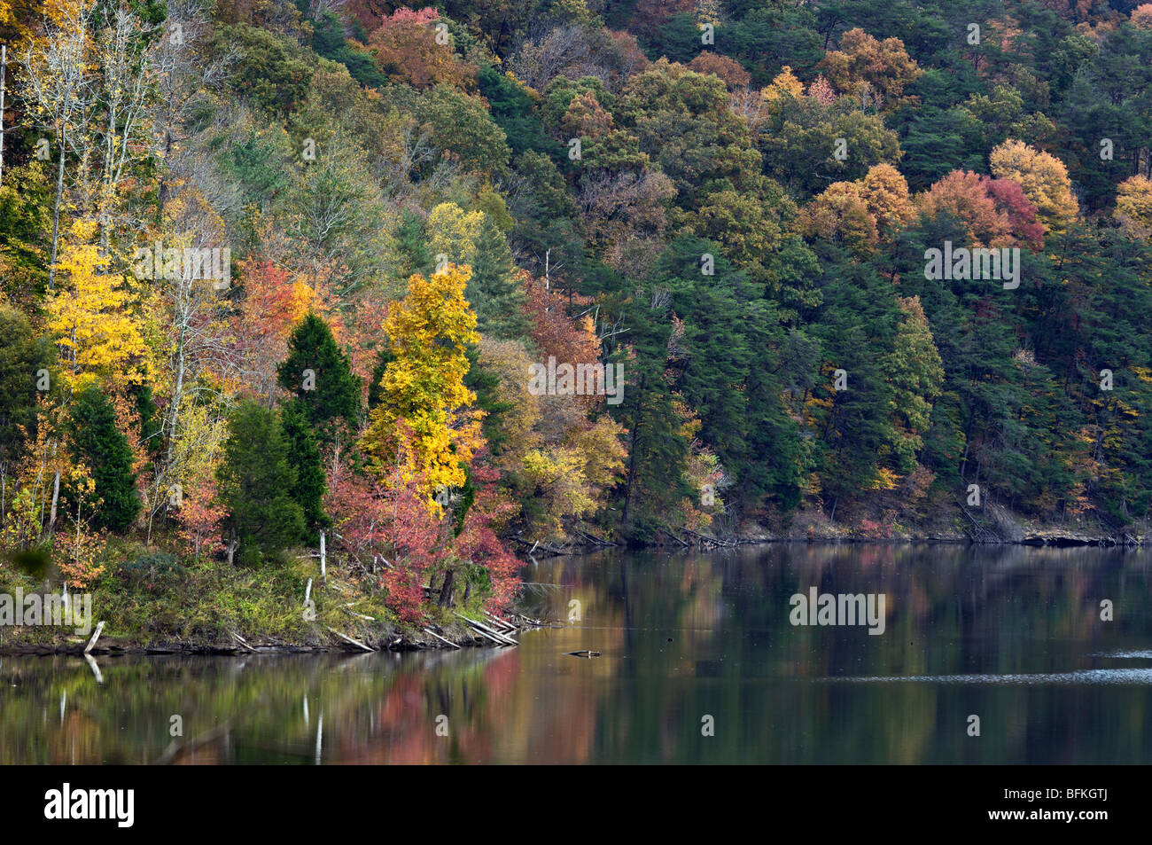 Avec la couleur en automne sur la rive du lac Paintsville dans Johnson County (Kentucky) Banque D'Images