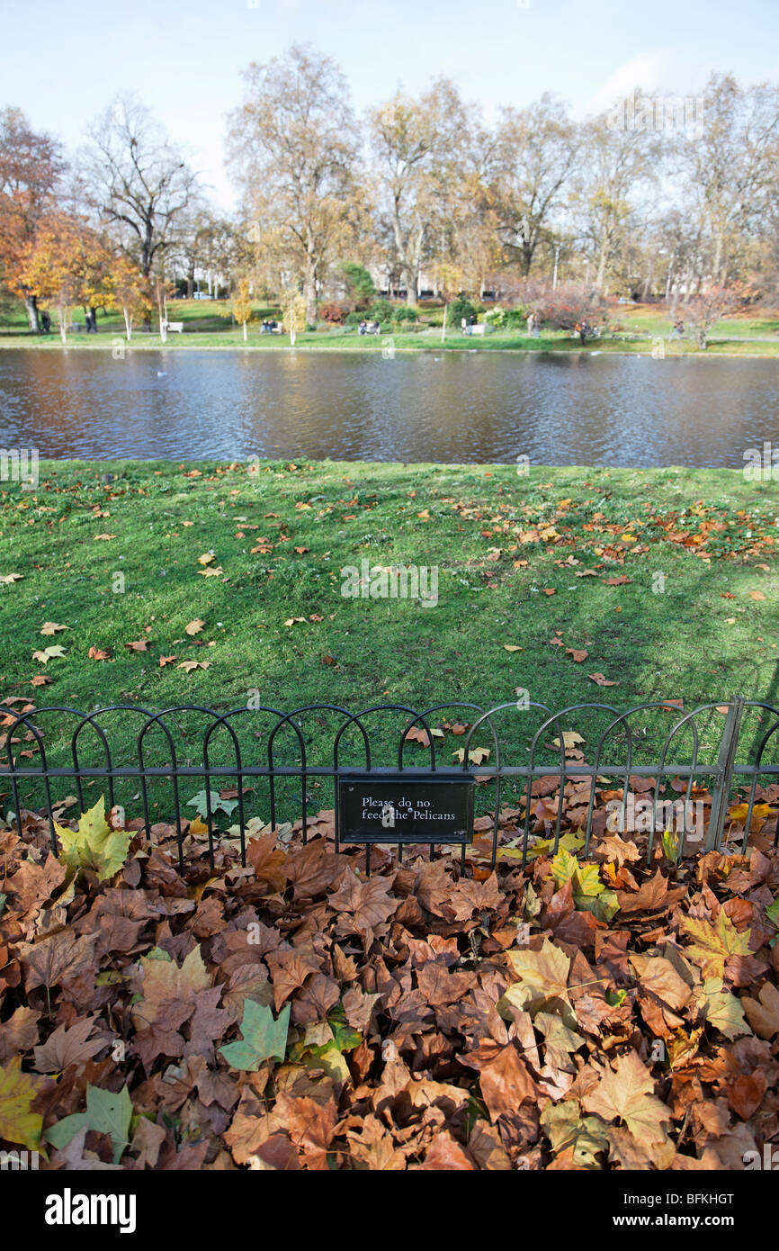 Couleurs d'automne à St James Park, Londres Banque D'Images
