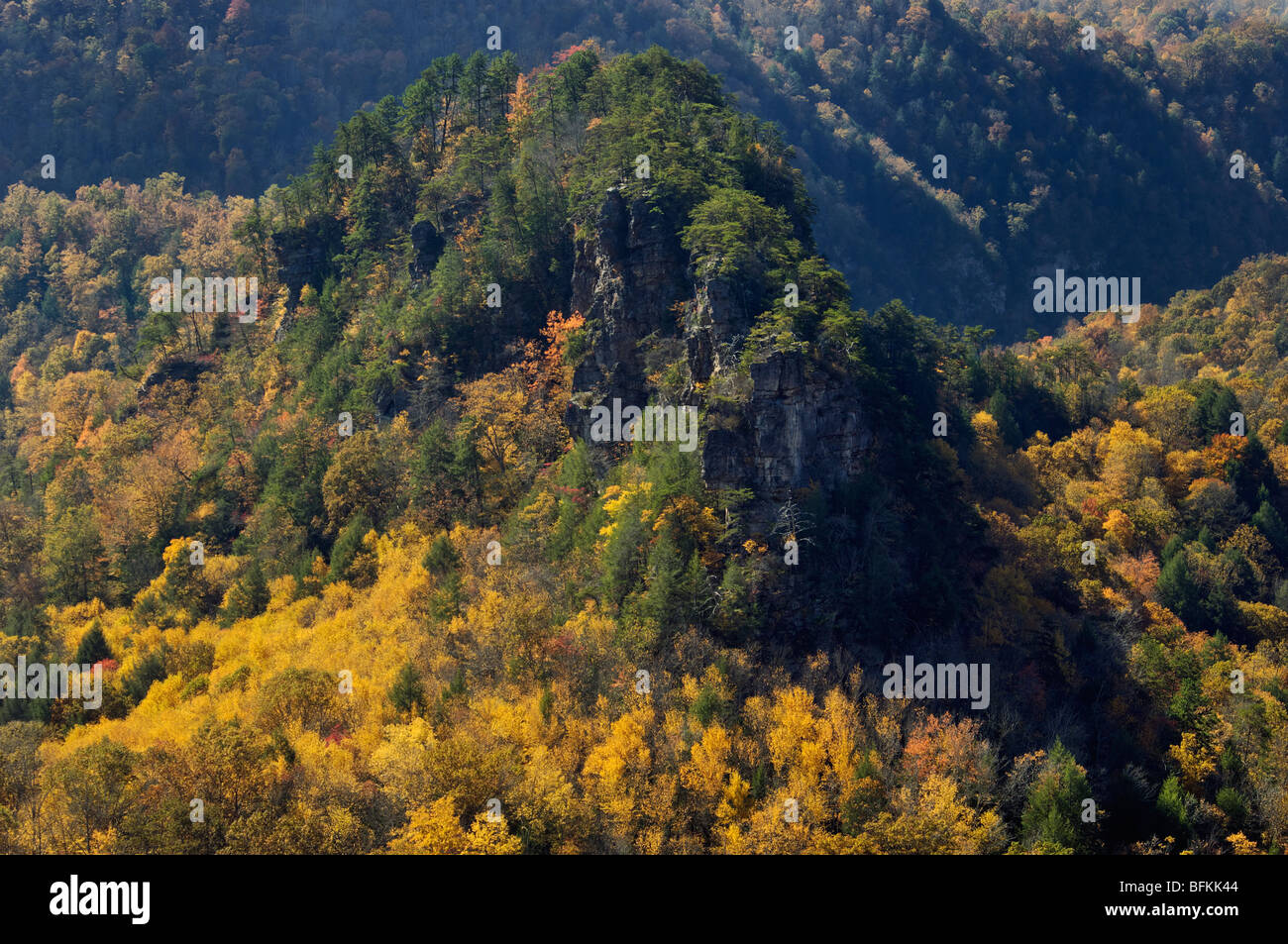 La couleur en automne sur les flancs des tours en Breaks Interstate Park en Virginie Banque D'Images