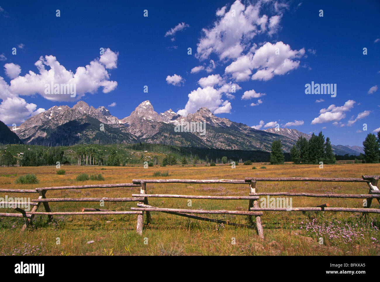 Un split clôture dans un pré près du Grand Teton dans les montagnes du Parc National de Grand Teton, Wyoming Banque D'Images