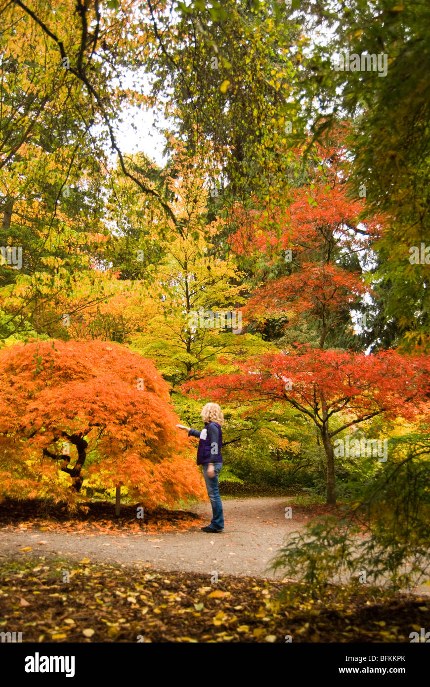 Une femme jouit de la couleur à l'automne dans le parc arboretum de Washington à Seattle, Washington. Banque D'Images