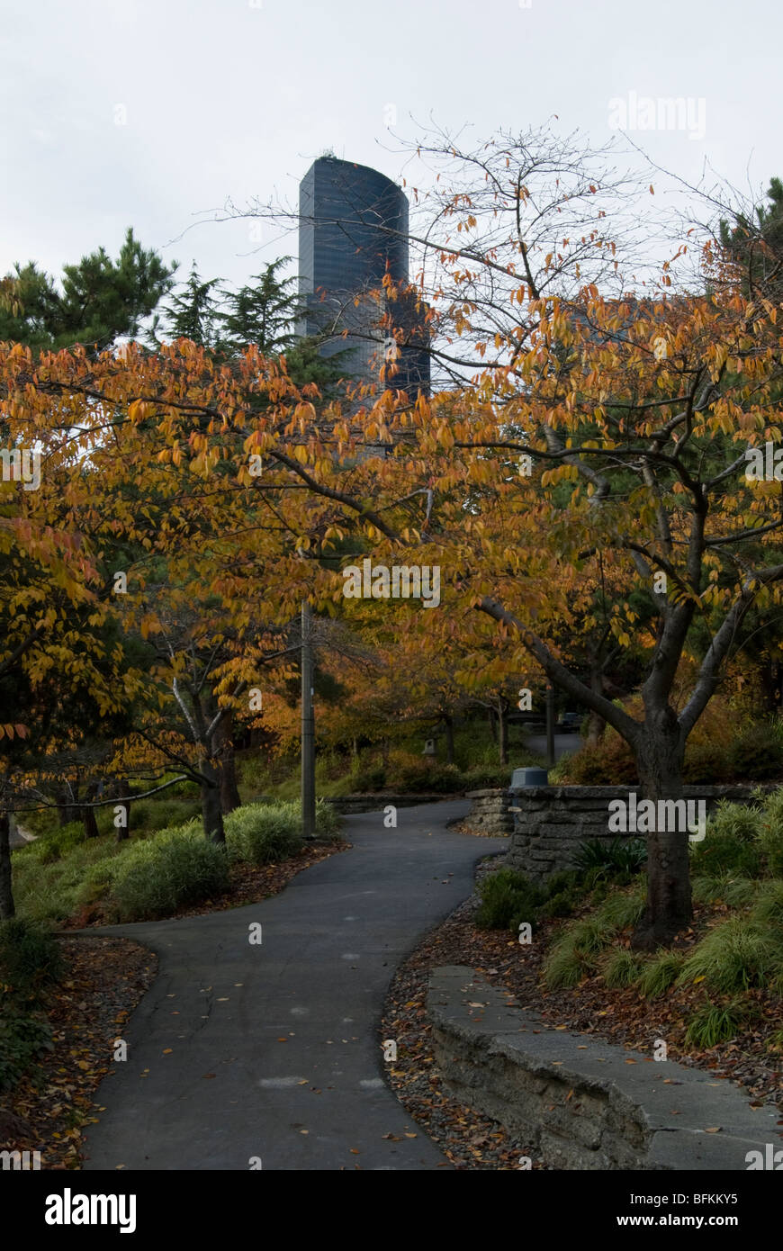 Une vue sur le centre-ville de Seattle de Kobe Terrace Park. Banque D'Images