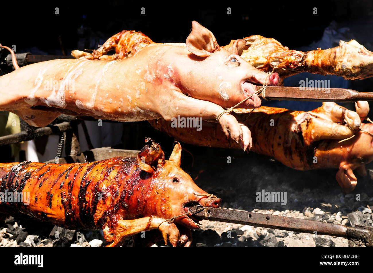 Les porcs rôti cuit sur des charbons ardents Banque D'Images