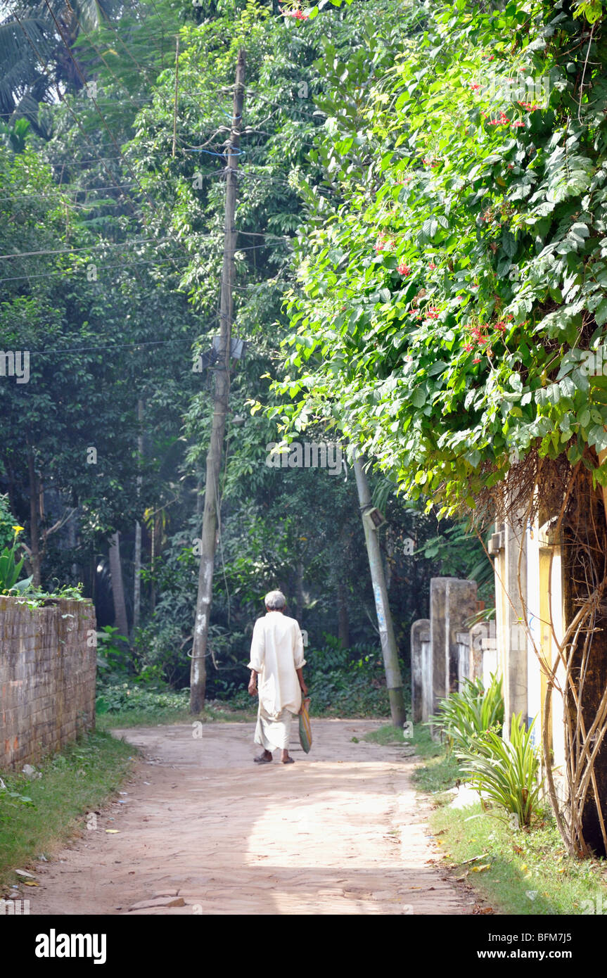 Une promenade dans la lumière du matin dans le Village, à l'extérieur de Rajarhat Kolkata (Calcutta), West Bengal, India Banque D'Images