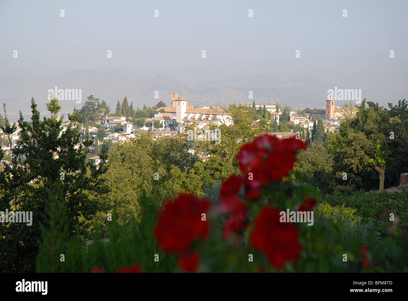 Voir avec les roses rouges de jardins du Generalife vers le Palais de l'Alhambra, Grenade, Andalousie, Espagne Banque D'Images