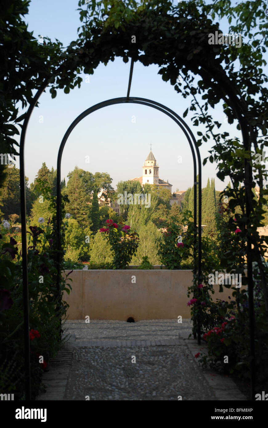Voir la vie en rose arbor dans les jardins du Generalife vers le Palais de l'Alhambra, Grenade, Andalousie, Espagne Banque D'Images