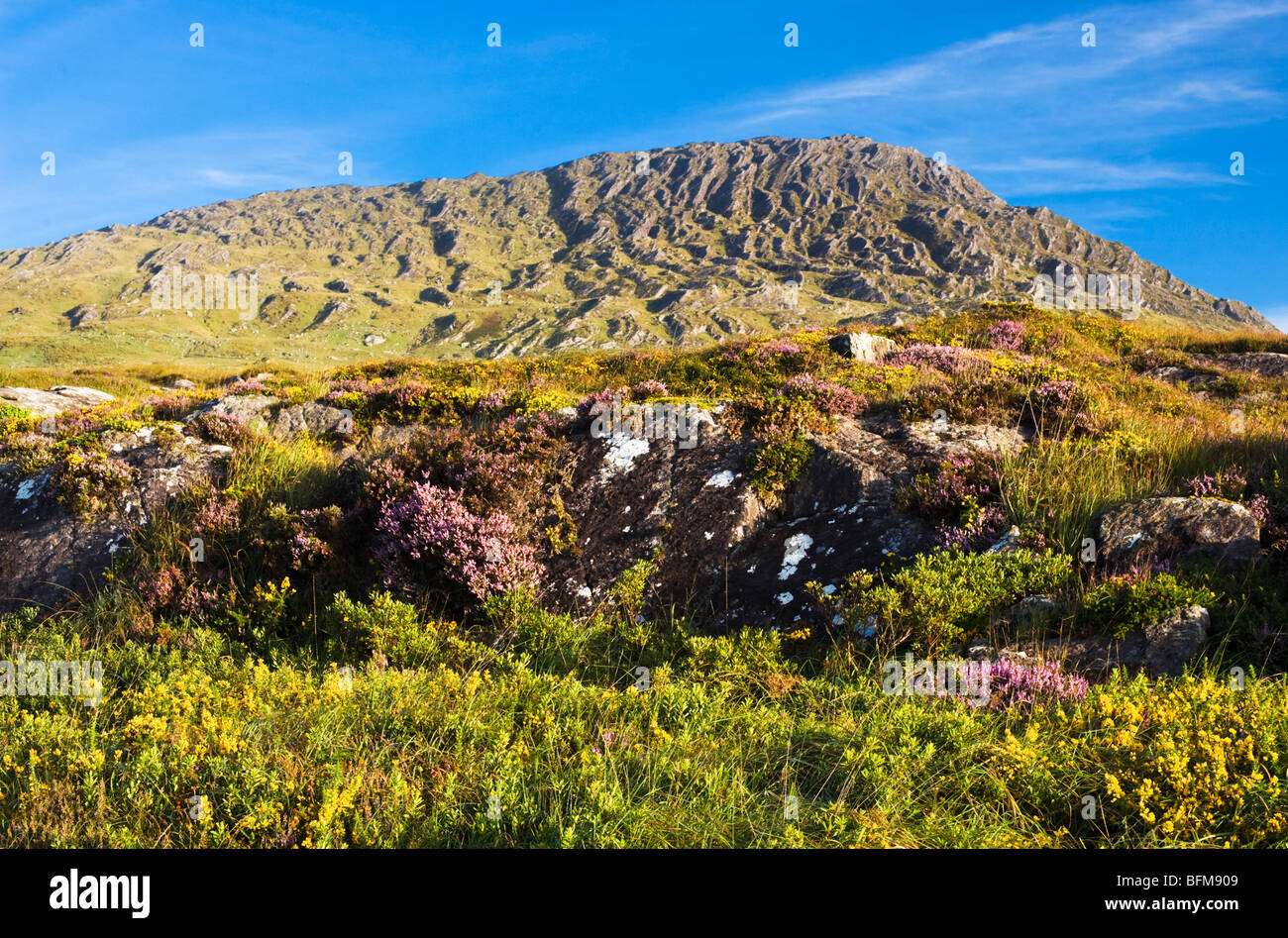 Sugarloaf Mountain, Beara, West Cork, Irlande Banque D'Images