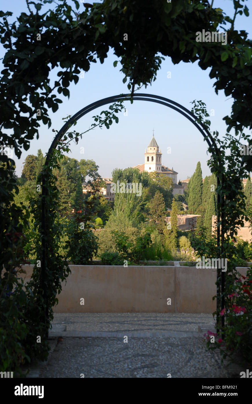 Voir la vie en rose arbor de jardins du Generalife vers le Palais de l'Alhambra, Grenade, Andalousie, Espagne Banque D'Images