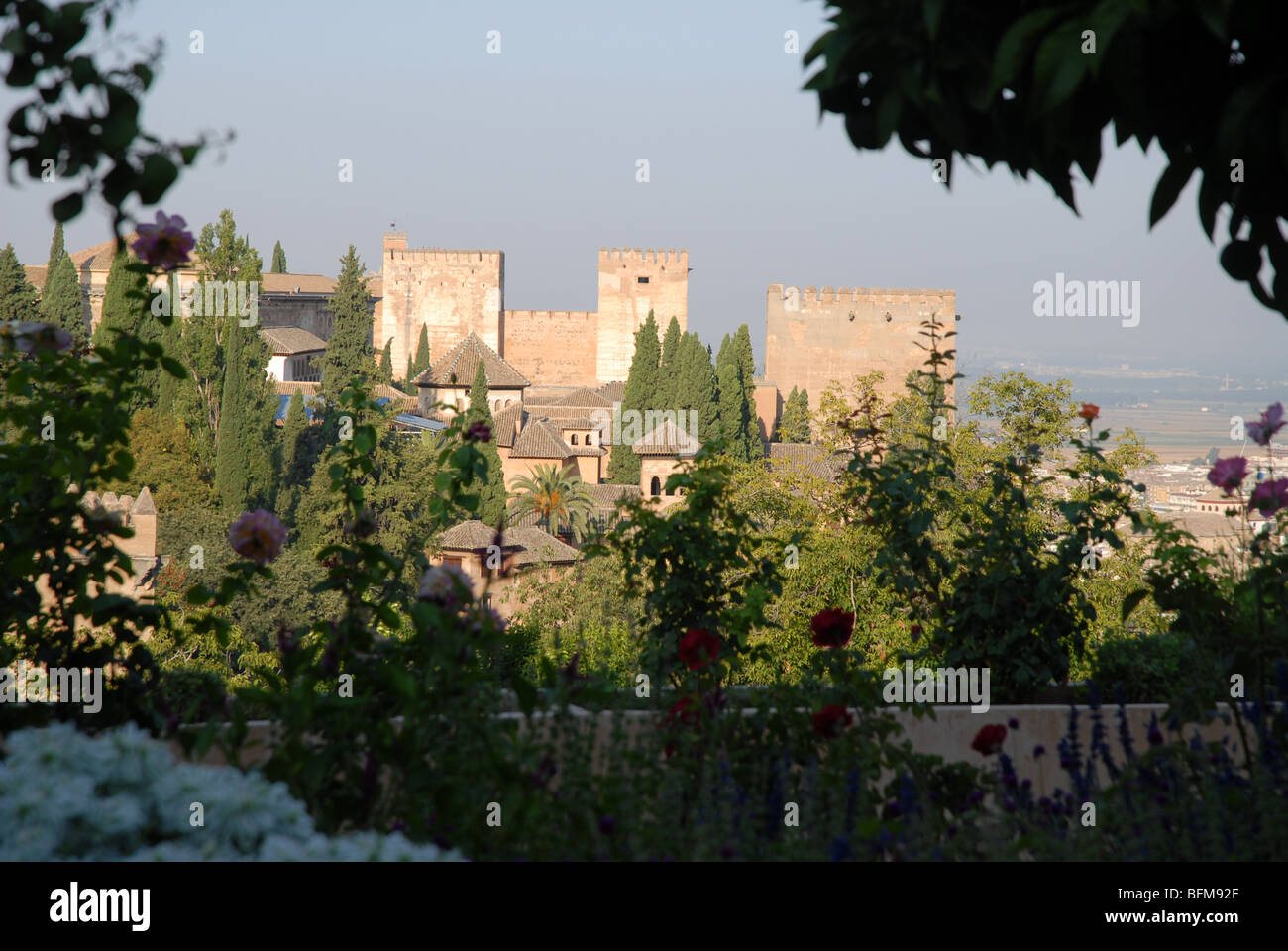 Vue depuis les jardins du Généralife vers le Palais de l'Alhambra, Grenade, Andalousie, Espagne Banque D'Images