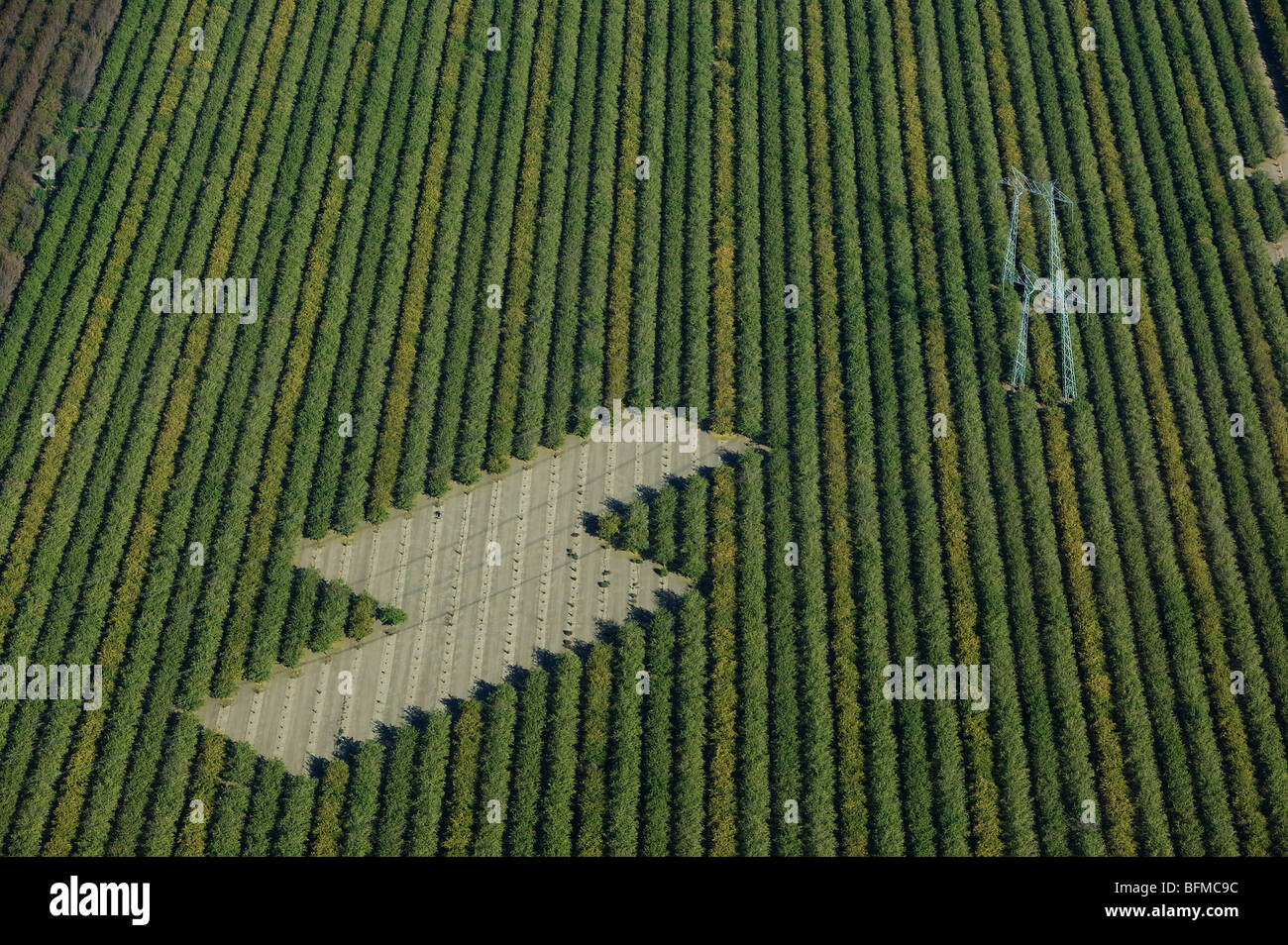 Vue aérienne au-dessus de lignes électriques à travers la vallée centrale de Californie terre agricole Banque D'Images