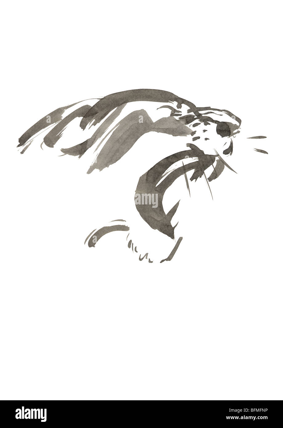 Tête de Lion hurlant Illustration d'encre gris Banque D'Images