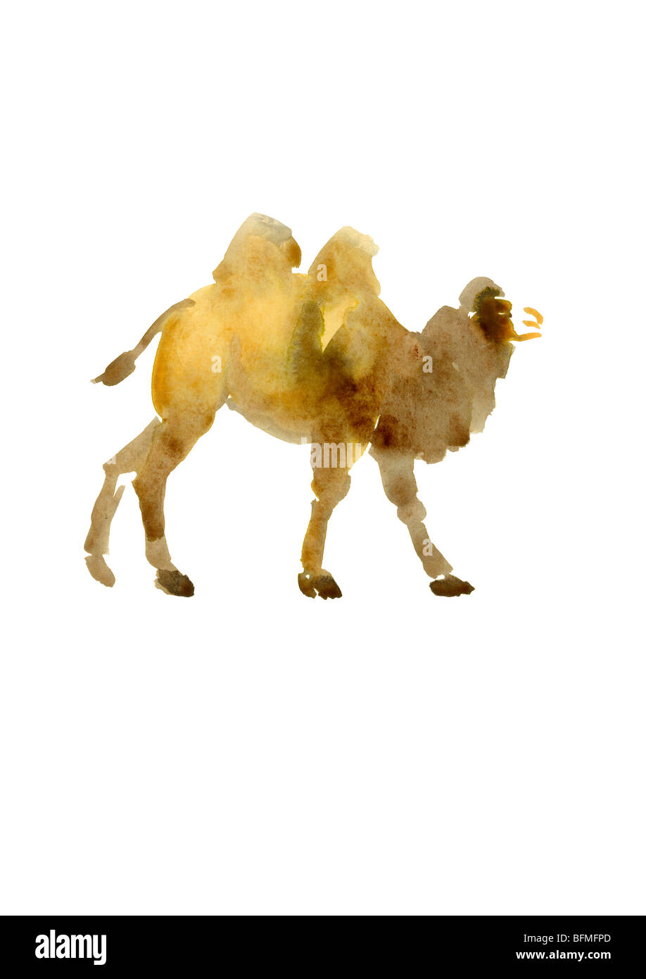 Pinceau Encre Camel Illustration Banque D'Images
