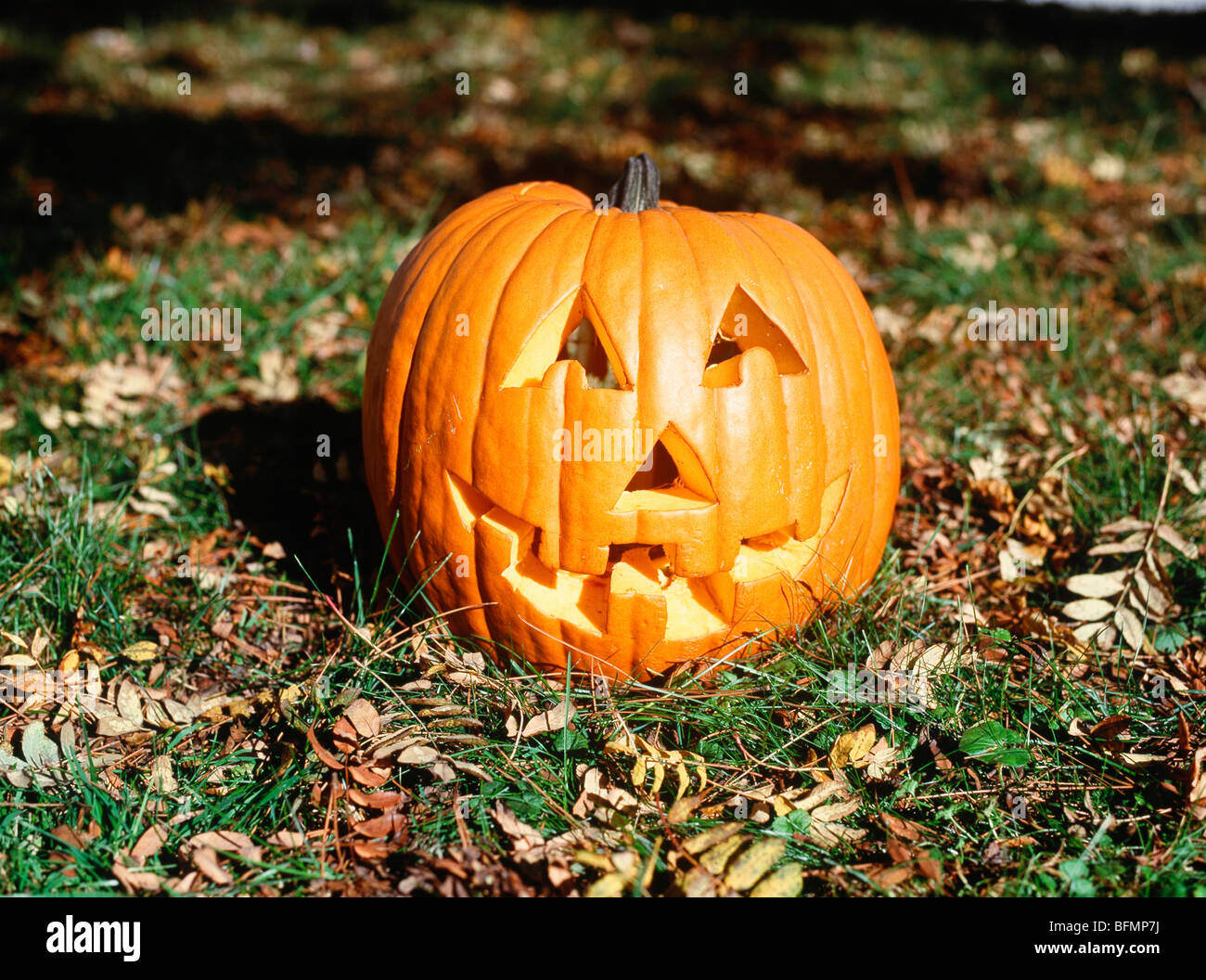 Citrouille sculptée, Jack O' Lantern, Iowa, États-Unis Banque D'Images