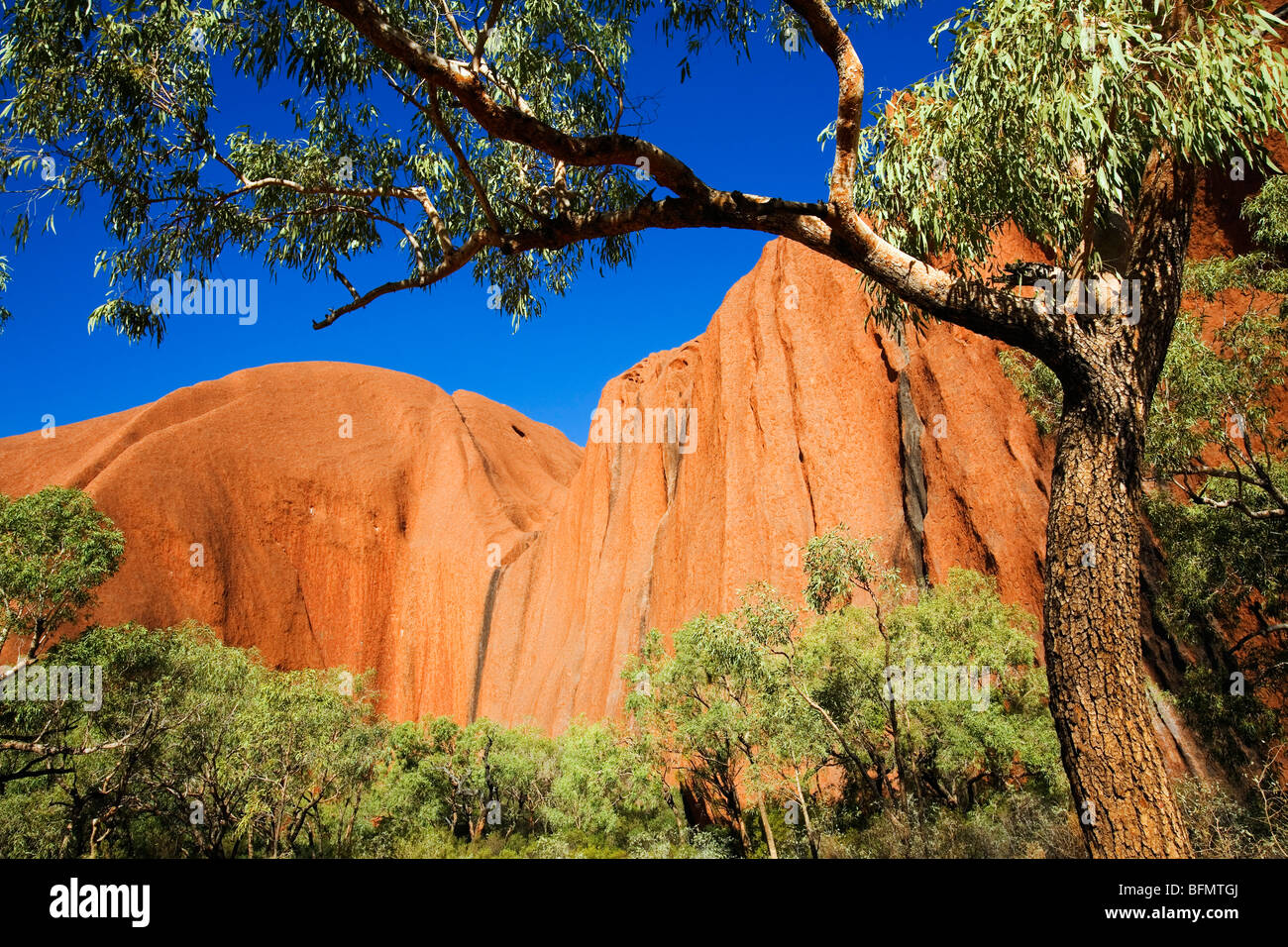 L'Australie, Territoire du Nord, le Parc National d'Uluru-Kata Tjuta. Sur la Gorge de Kantju Mala à pied à Uluru (Ayers Rock) (PR) Banque D'Images