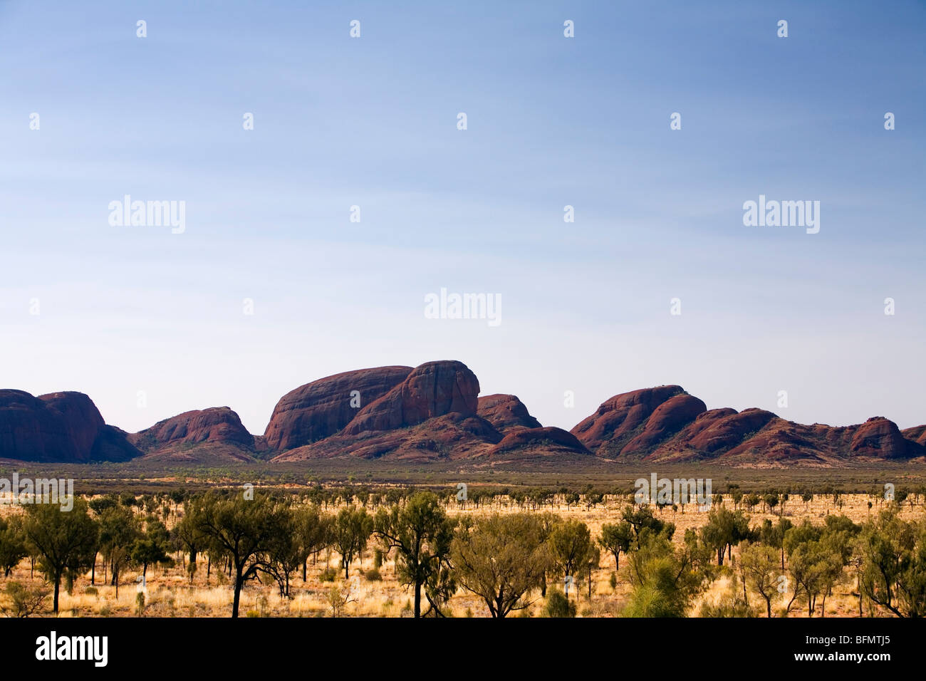 L'Australie, Territoire du Nord, le Parc National d'Uluru-Kata Tjuta. Vue à travers les plaines spinifex à Kata Tjuta (les Olgas) (PR) Banque D'Images