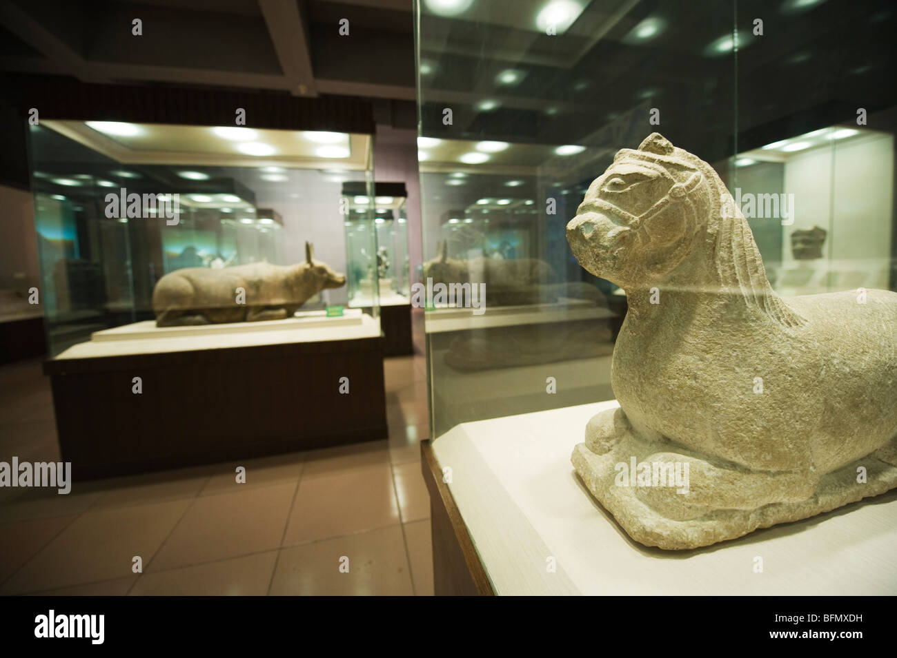 Chine, province de Ningxia Yinchuan, musée, à l'ouest de Xia Tombs Banque D'Images