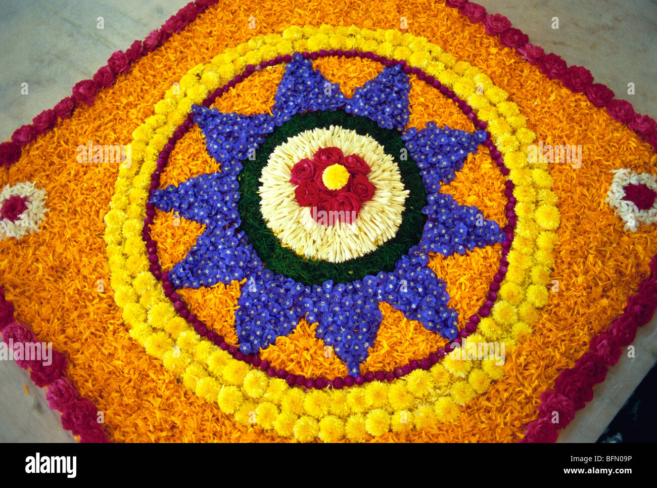 60809 Pookalam MAA : floral design ; Onam festival Kerala ; Inde ; Banque D'Images