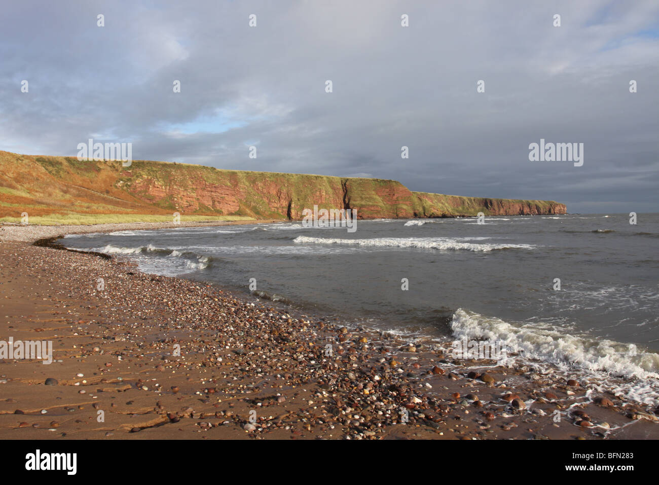 Les falaises en grès rouge et le sable doré de la Baie d'Carlingheugh Angus Scotland Novembre 2009 Banque D'Images