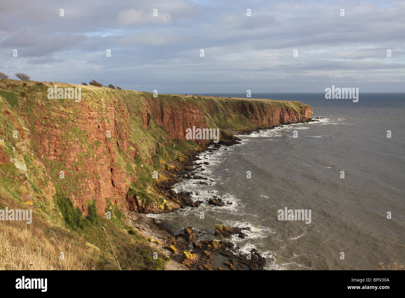 Falaises Seaton Angus Scotland Novembre 2009 Banque D'Images