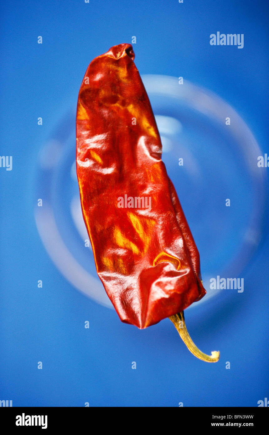 Piments forts capsicum sp Banque de photographies et d’images à haute