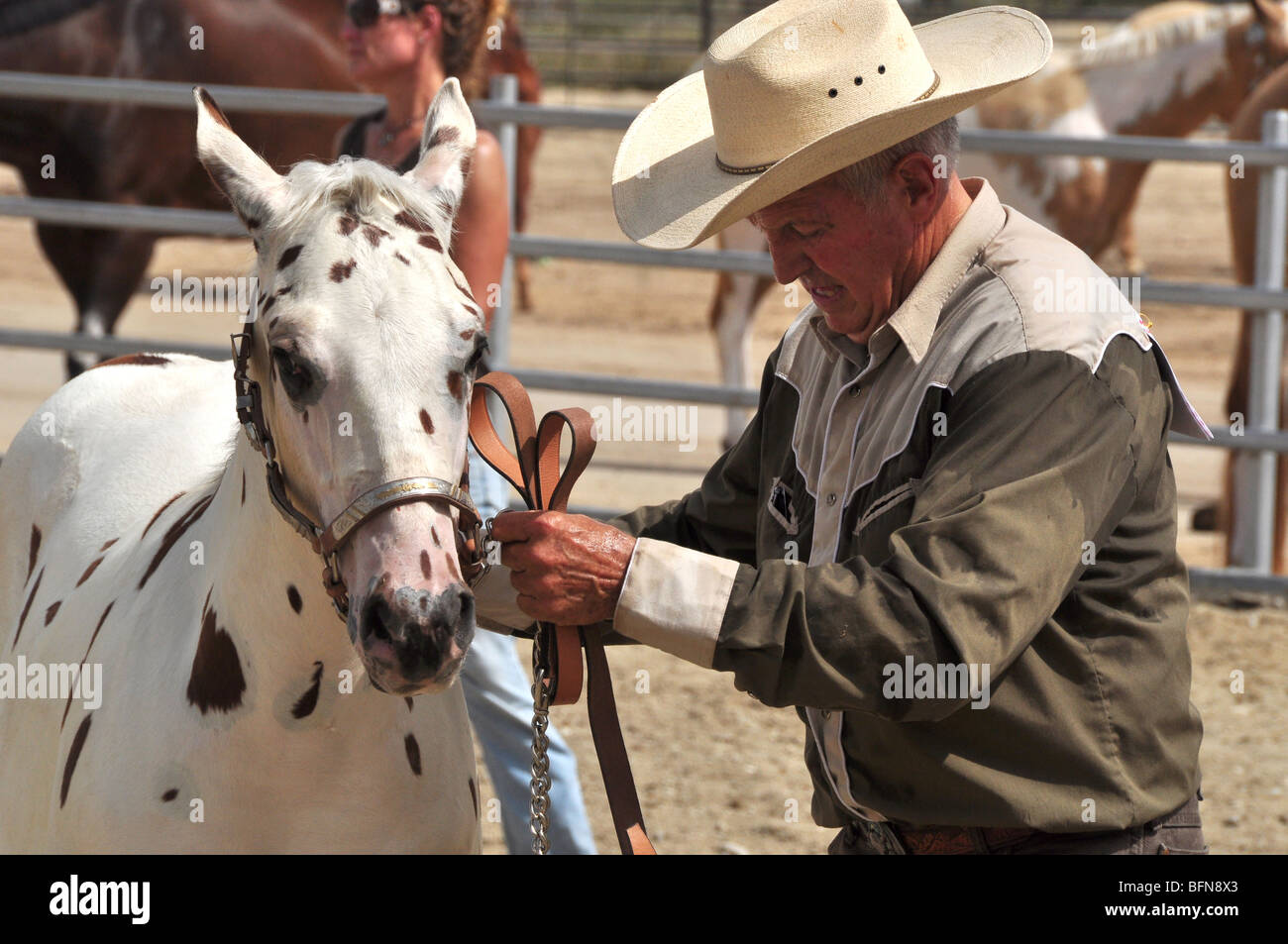 Un cowboy tient son cheval au cours de la compétition à la bride Western Kentucky Fair Banque D'Images