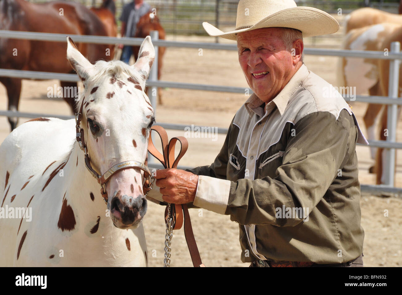 Un cowboy tient son cheval au cours de la compétition à la bride Western Kentucky Fair Banque D'Images