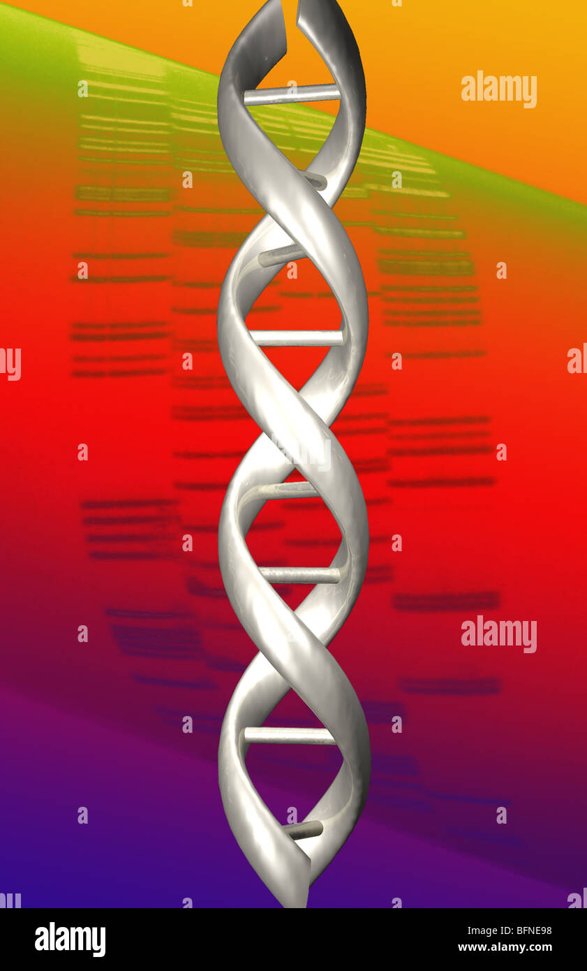 Molécule d'ADN produites par ordinateur superposées sur une autoradiograph colorisée d'une électrophorèse sur gel. Banque D'Images