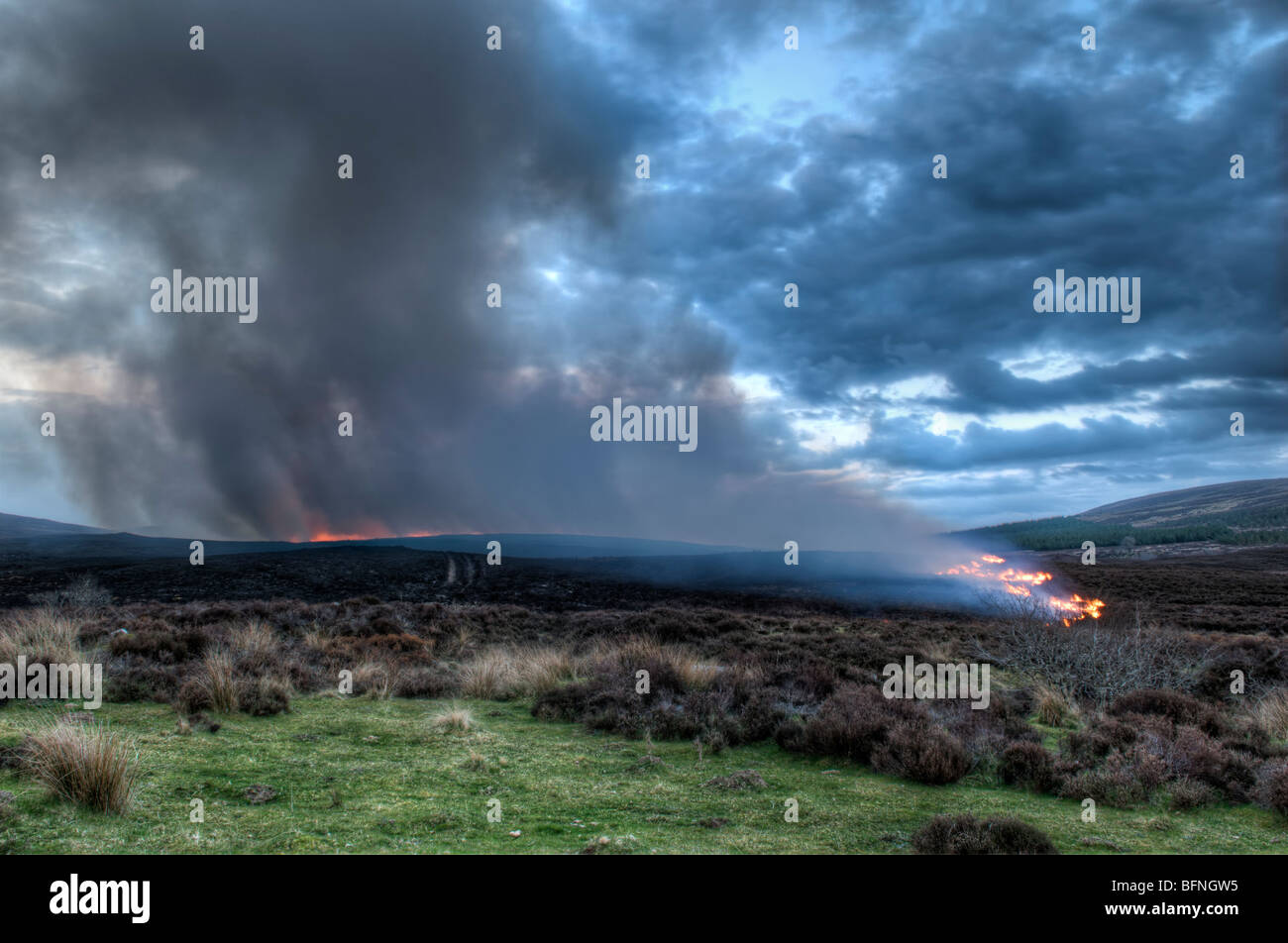 Hill tire sur des collines près de A836 entre Lairg et Bonar Bridge en Ecosse prises au crépuscule avec brûler heather et pinceau. Image HDR Banque D'Images