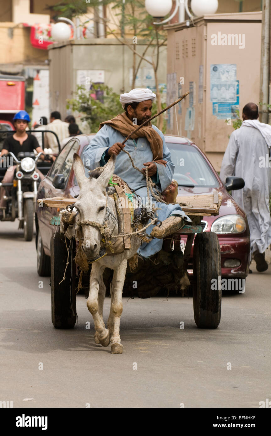 L'âne et le panier roulant sur le centre-ville de Louxor en Égypte. Banque D'Images