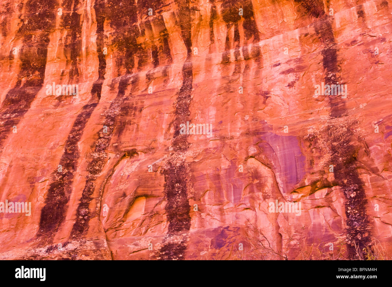 Vernis du désert à Devil's Garden, Arches National Park, Utah Banque D'Images