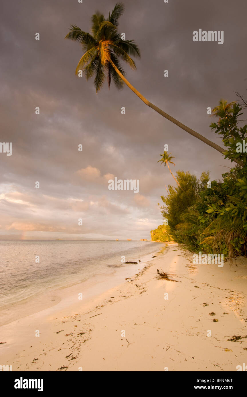 Plage de l'île de Kri, Papouasie, Indonésie Banque D'Images