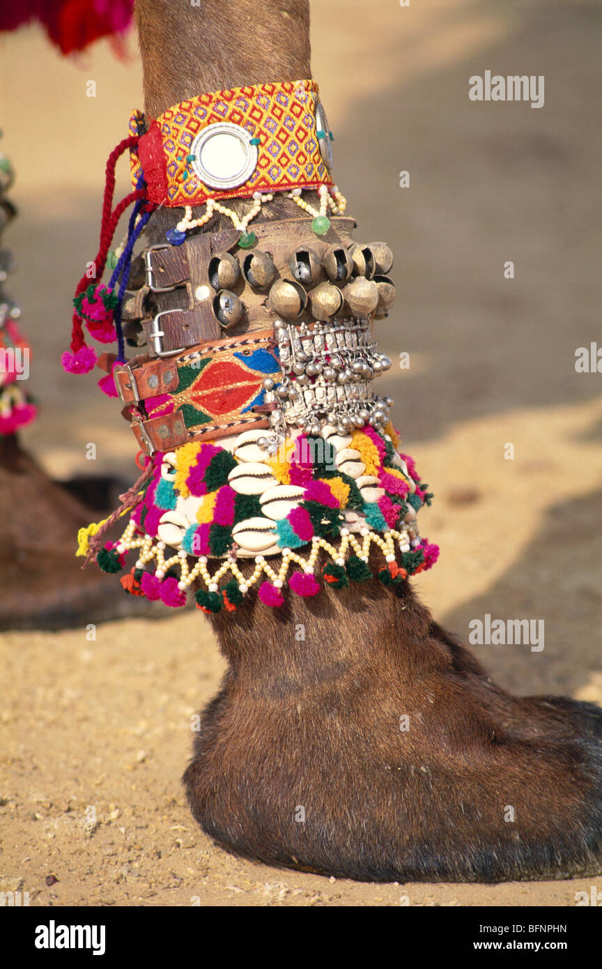 60314 : Libre de MMN ghungroo jambe sur des chameaux ; décoration ; Festival du désert du Rajasthan Jaisalmer ; Inde ; Banque D'Images