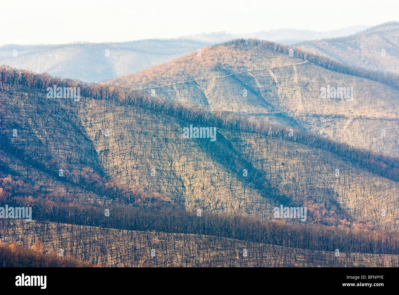Une chaîne de montagnes couvertes de forêts en schlerophyl décimé par un incendie. Banque D'Images