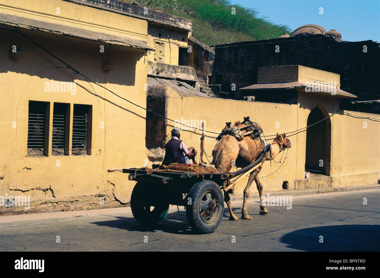 Chariot à dos de chameau ; Jaipur ; Rajasthan ; Inde ; asie Banque D'Images