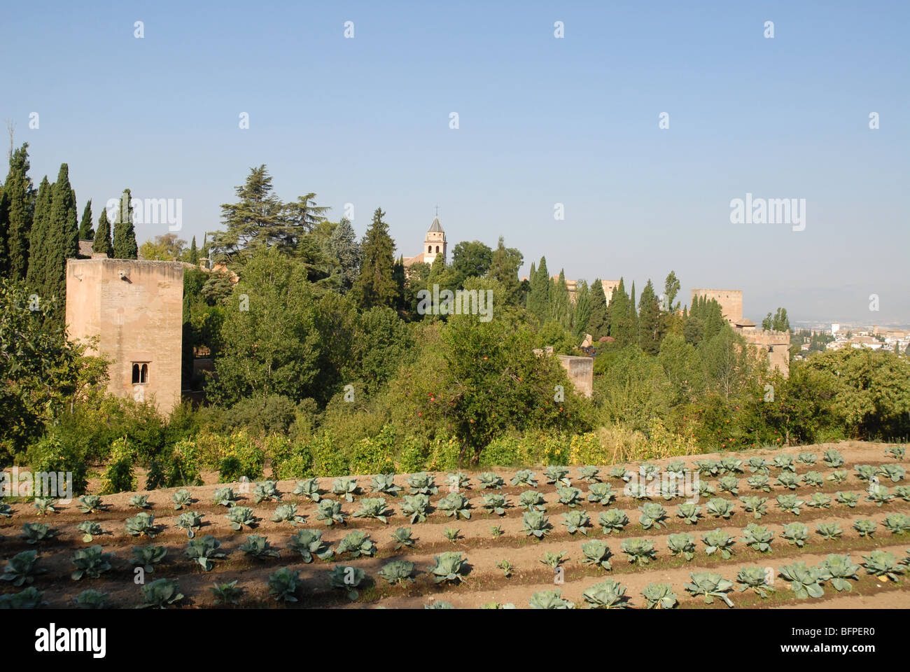 Vue du Generalife sur le potager et verger en direction de l'Alhambra, Grenade, Andalousie, Espagne Banque D'Images