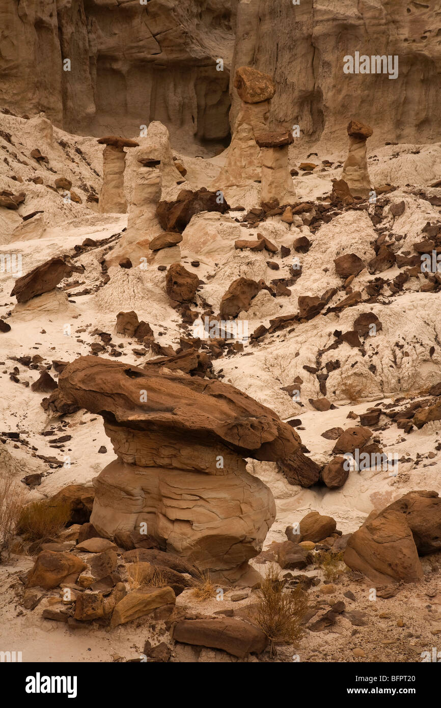 Les formations géologiques de cheminées dans le bassin Hoodoo Rimrock sur les terres publiques dans l'Utah, USA Banque D'Images