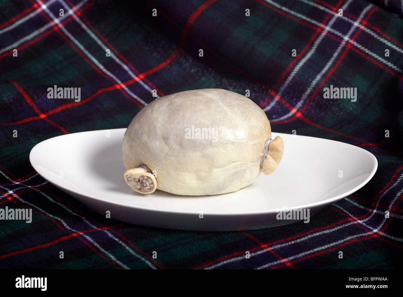 Un traditionnel écossais brutes haggis, dans un vrai estomac de brebis, sur une plaque avec un fond tartan Banque D'Images