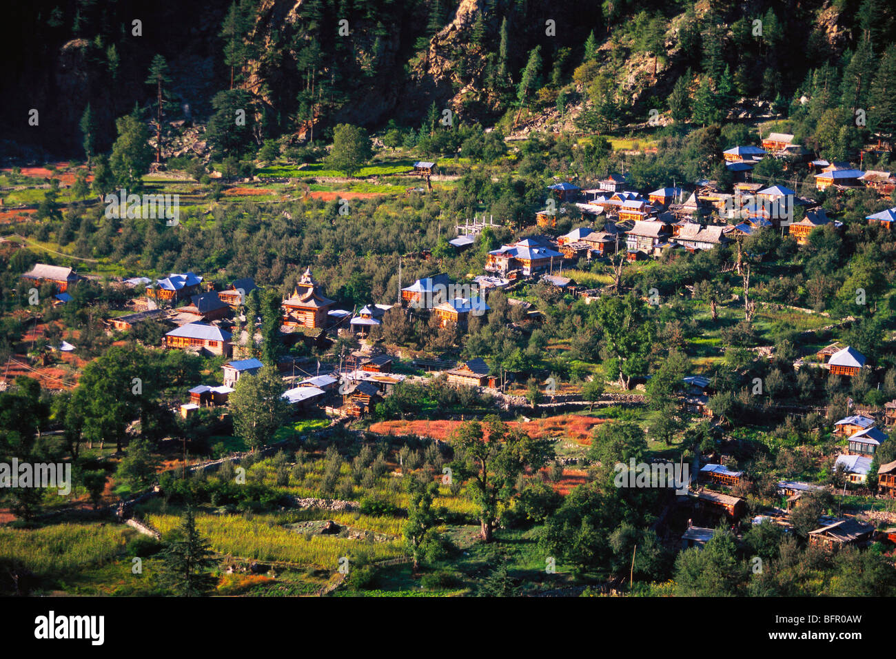 SOM : 66975 Batseri ; village himalayen ; Kinnaur Himachal Pradesh en Inde ; Banque D'Images