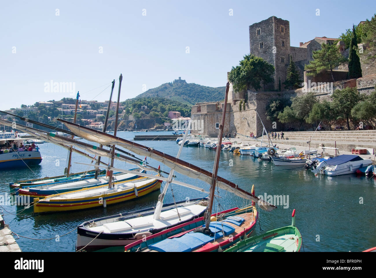 Le Chateau Royale d'anchois de Collioure port bateaux traditionnels Banque D'Images