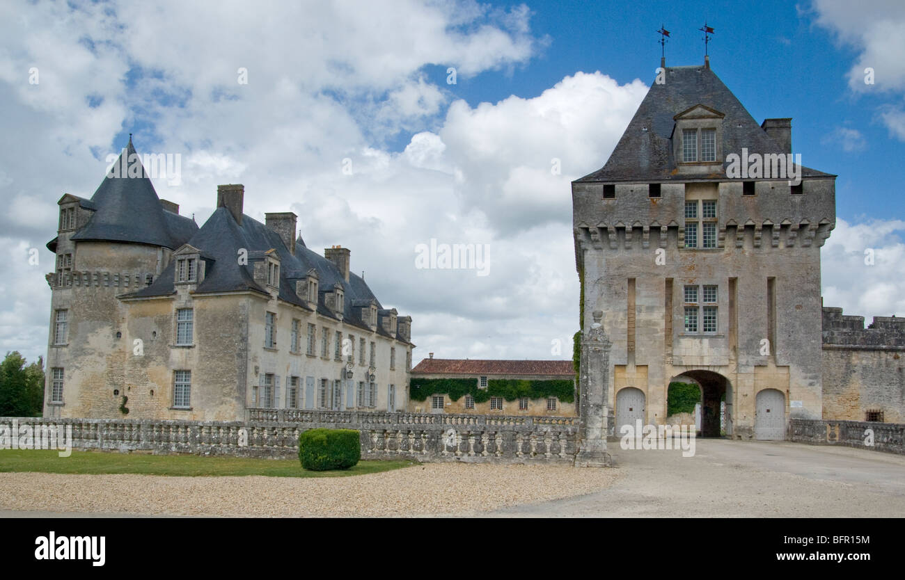 Chateau De La Roche Courbon Banque D'Images
