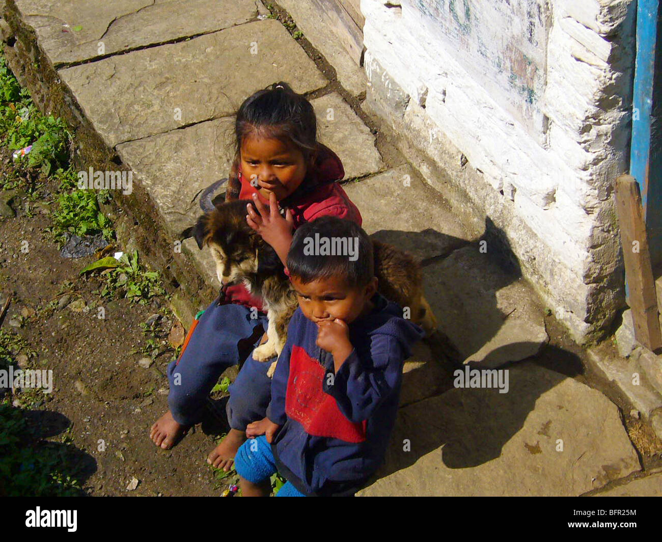 Les enfants jouant avec un chiot à la village de Chomrong, sur le sentier menant jusqu'à l'Annapurna Sanctuary Banque D'Images