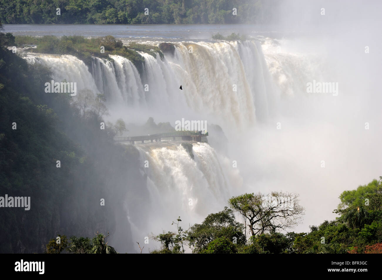 D'Iguazu, Argentine Banque D'Images