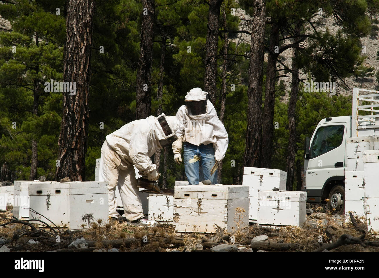 Forêt de montagne de Crète dh Grèce Crète travail agriculture apiculteurs apiculture ruches boîte en bois costume travailleurs Banque D'Images